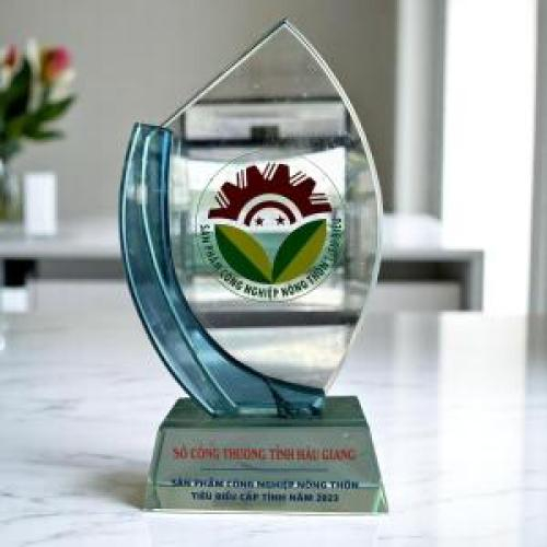 Cúp & Kỷ Niệm Chương